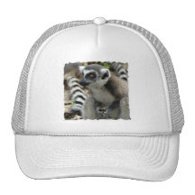 Lemur Monkey Baseball Hat