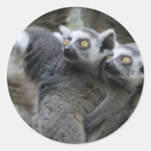 Lemur Piggy Back Sticker