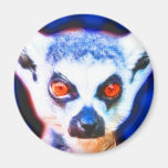 *Lemur* Wild Spirit Designs Refrigerator Magnets
