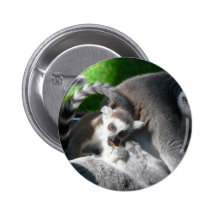 Lemurs Eating Pinback Buttons