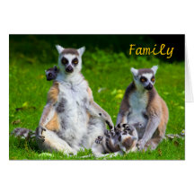 Lemurs Family Greeting Cards