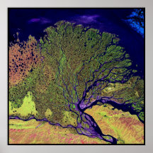 Lena Delta Russia Poster
