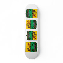 lenkoran, Azerbaijan skateboards