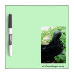 Lenore Dry Erase Board