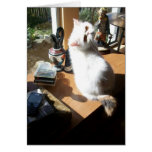 Lenore in the sun greeting card