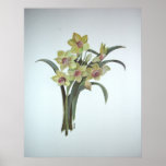 Lent Lily posters