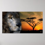 Leo Posters