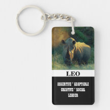 Leo zodiac star sign personalize rectangle acrylic keychains