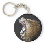 Leon Key Chains
