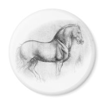 Leonardo DaVinci Horse magnet