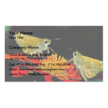 Leonard's skipper butterfly on Mexican sunflower Business Cards