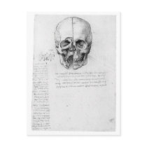 Leondardo Da Vinci Skull 002