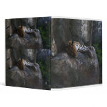 Leopard Binder