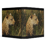 Leopard binders & albums