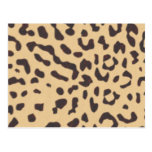 leopard; blank postcards