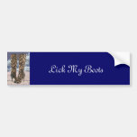 Leopard Boots with Ankle Straps Bumper Sticker