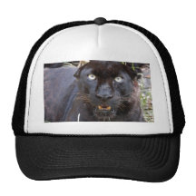 Leopard Cap Mesh Hats
