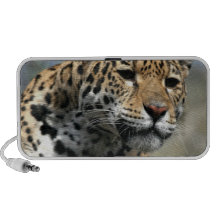 Leopard Cat Speakers