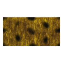 Leopard Cheetah Print Patterned Photo Card
