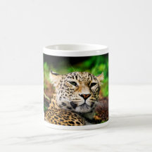 Leopard Coffee Mugs