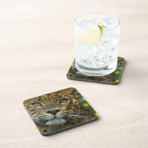 Leopard  Cork Coasters