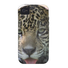 Leopard Cub Vibe iPhone 4 Cases