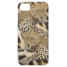 Léopard et caisse des taches iPhone5 Coques iPhone 5 Case-Mate