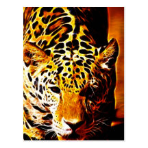Leopard Gotcha Post Card