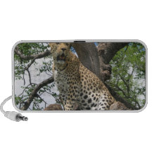 Leopard in Tree Speakers
