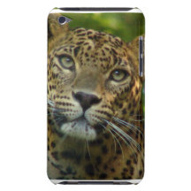 Leopard  iTouch Case iPod Touch Covers