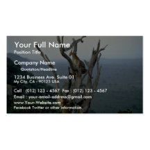 Leopard, Kenya Business Cards
