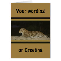 Leopard lying on sand bank wildlife cards 