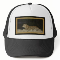 Leopard lying on sand bank wildlife hats