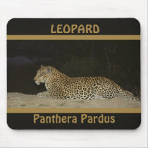Leopard lying on sand bank wildlife mousepads