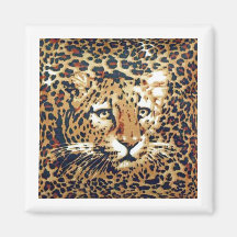 Leopard Magnets