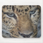 Leopard Mouse Pad