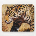 Leopard mousepads
