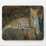 Leopard of the African Savanna Mousepads