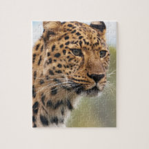 Leopard Photo Jigsaw Puzzles