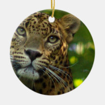 Leopard Photo Ornament