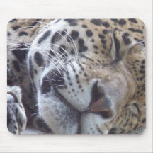 Leopard Picture Mouse Pad