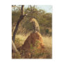 Leopard Post Card