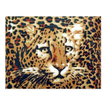 Leopard Postcard