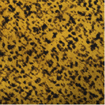 Leopard Print Photo Sculptures