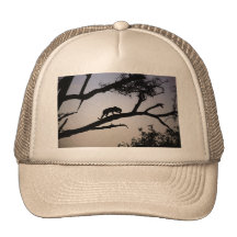 Leopard silhouette in a tree, Kenya Hat