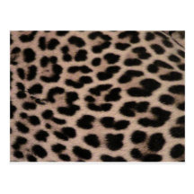 Leopard Skin background Post Cards