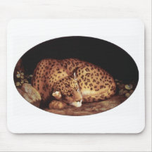 Leopard Sleeping Artwork Mouse Pad
