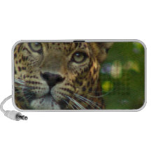 Leopard Speakers
