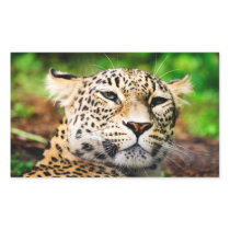 Leopard Rectangular Sticker