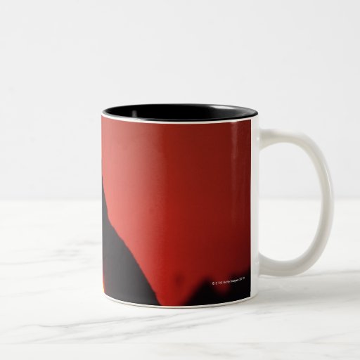 léopard tasses à café